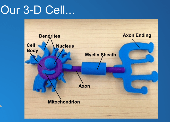 Screen Shot 2015-01-04 at 8.39.16 AM