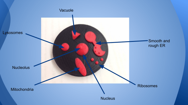 Screen Shot 2015-01-04 at 9.32.41 AM